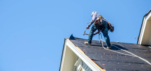 Best Roof Gutter Cleaning  in Huntingdon, PA